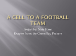 A cell to a football team