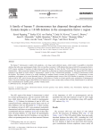 A family of human Y chromosomes has dispersed throughout