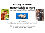 Poultry Diseases Transmissible to Man