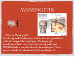 What is Meningitis? Cerebrospinal fluid protects the brain and spinal