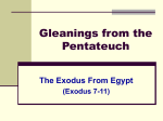 The Exodus From Egypt - Crossroads Bible Church