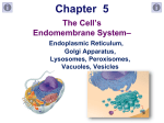 Lecture 011--Organelles 2 (Endomembrane System)