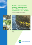 Benthic communities on hard substrates of the offshore wind farm