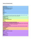 Grade 8 The National budget and economic growth