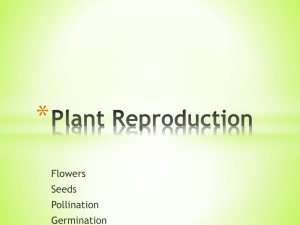 Plant Reproduction