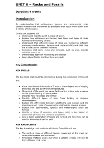 Yr 7 Rocks and Fossils Unit Overview