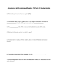Chapter 7 (Part 2) Study Guide File