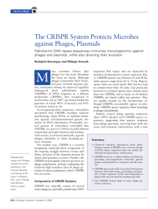 The CRISPR System Protects Microbe