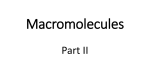 Macromolecules II