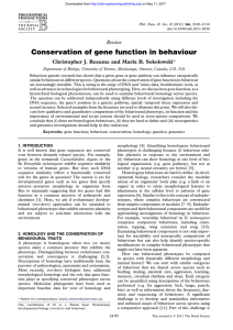 Conservation of gene function in behaviour