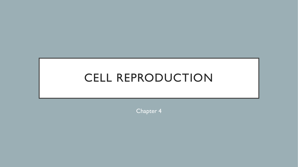Cell Reproduction Mrs Rothwell S Place