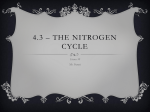 4.3 * The Nitrogen Cycle - Science 10 With Mr. Francis