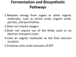 Fermentation and Biosynthetic Pathways File