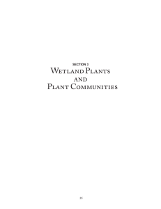 Wetland Plants and Plant Communities