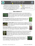 native plant list - Portland Water District