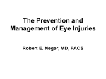 Eye Injury Prevention PPT