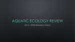 Aquatic Ecology Review - Kalaheo APES