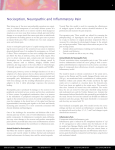 Nociception, Neuropathic and Inflammatory Pain