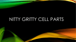 Nitty Gritty Cell Parts
