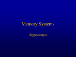 Memory Systems