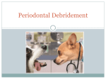 Applied Dentistry for the Veterinary Technician