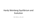 Hardy Weinberg Equilibrium and Evolution