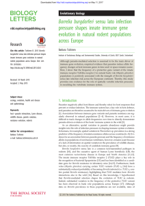 Borrelia burgdorferi sensu lato infection pressure shapes innate