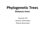 Phylogenetic Trees - Elhanan Borenstein