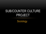 Sub/Counter Culture Project