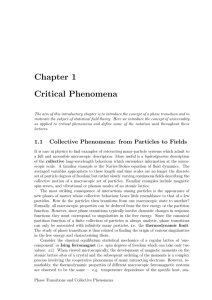 Chapter 1 Critical Phenomena - Theory of Condensed Matter