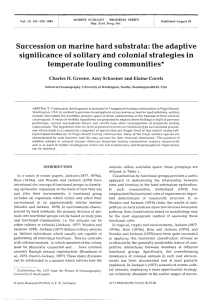 Succession on marine hard substrata: the adaptive significance of