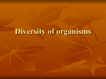 Diversity of organisms - Spanish Point Biology