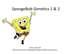 SpongeBob Genetics