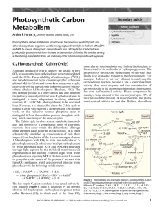 Photosynthetic Carbon Metabolism