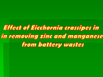 Effect of Eicchornia in Removing Alkaline Battery wastes