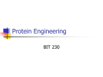 Protein Engineering