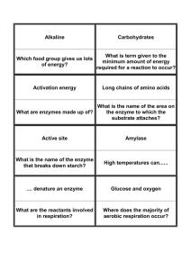 Enzymes_loop_game