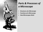 Parts and Processes of a Microscope_1