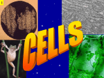 Cells ppt_HH