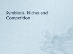 Niches and Competition