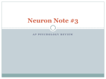 Neuron Note #3 - WordPress.com