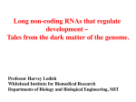 Long non-coding RNAs that regulate development – Tales from the
