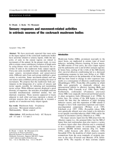 Sensory responses and movement-related activities in extrinsic