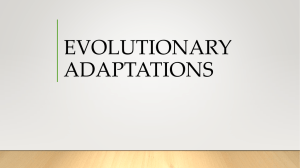 evolutionary adaptations