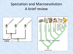 Speciation and Macroevolution A brief review