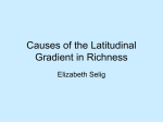 Latitudinal Gradients in Richness