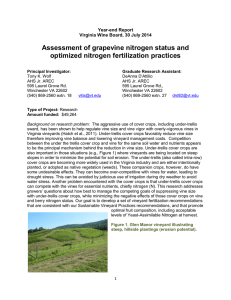 Assessment of grapevine nitrogen status and optimized nitrogen
