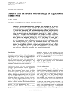 Aerobic and anaerobic microbiology of suppurative sialadenitis