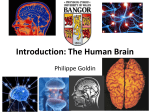 Introduction: The Human Brain