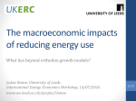 The macroeconomic impacts of reducing energy use